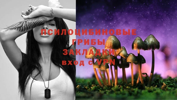 прущая мука Арсеньев