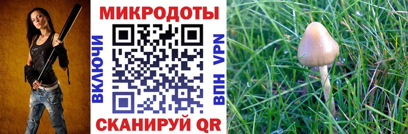 наркошоп  Хотьково  даркнет телеграм  Галлюциногенные грибы Psilocybine cubensis 